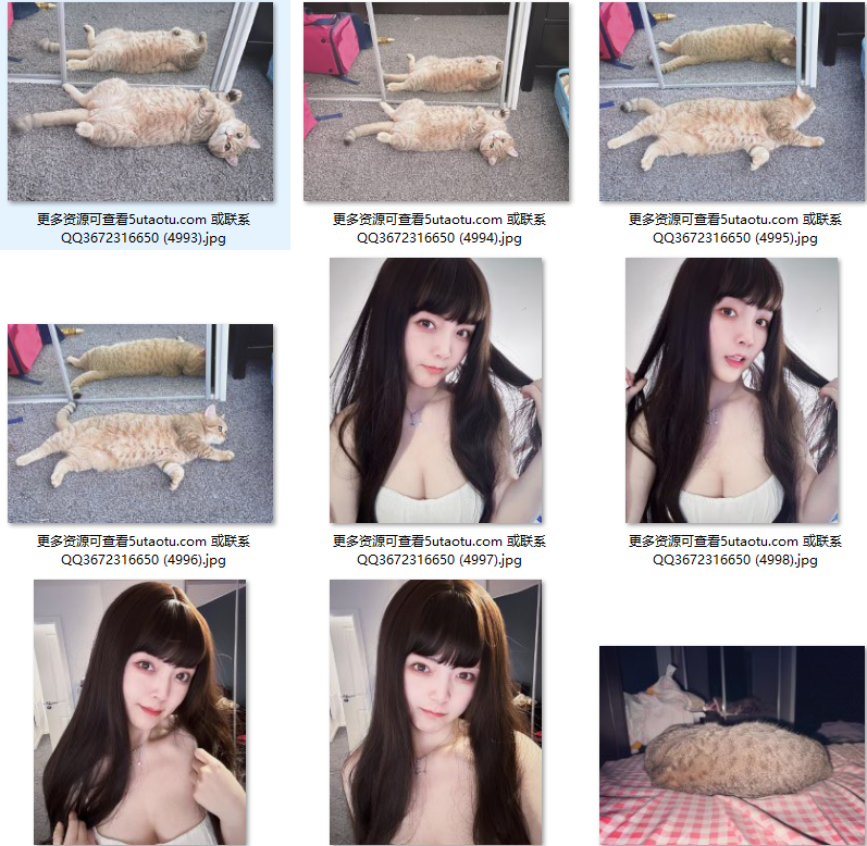 8.png